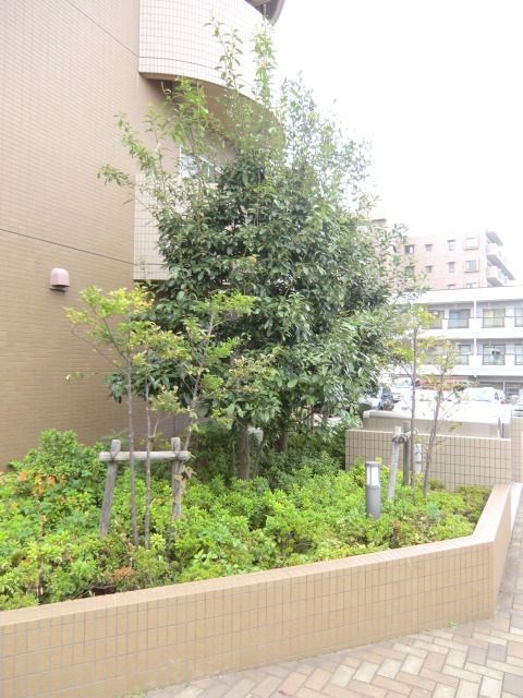 庭　緑も豊かです