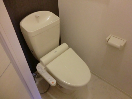 ＪＲ鹿児島本線 久留米駅 徒歩6分 3階建 築15年のトイレ写真
