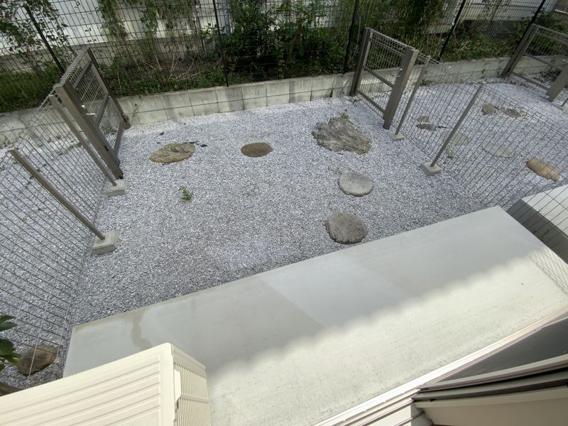 庭