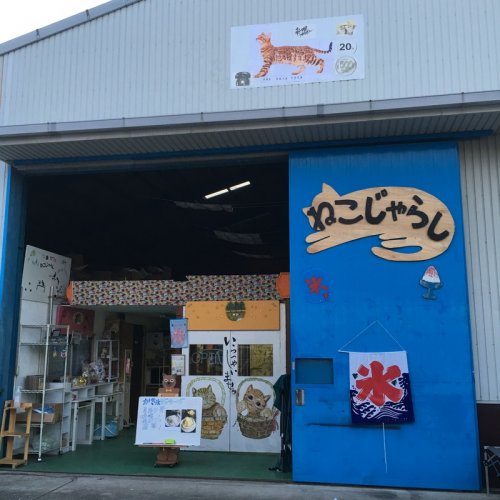 飲食店　猫カフェねこじゃらし（飲食店）まで535m