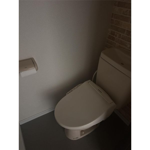 タウニィ小林のトイレ写真
