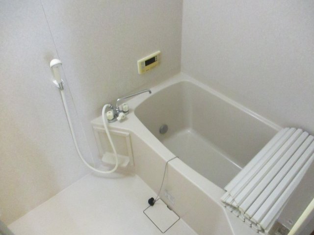 グランフォルムIIの風呂写真
