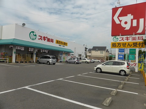 ドラックストア　スギ薬局 高松店（ドラッグストア）まで735m