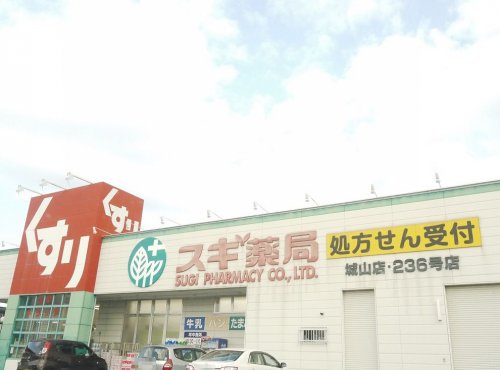 ドラックストア　スギ薬局 城山店（ドラッグストア）まで707m
