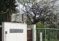 小学校　堺市立中百舌鳥小学校（小学校）まで572m