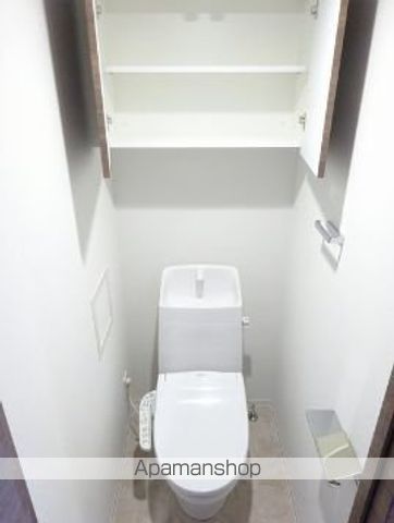 ラフィスタ蒲田南IIのトイレ写真