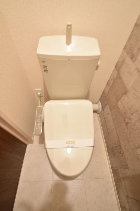 伊豆箱根大雄山線 和田河原駅 徒歩11分 3階建 築10年のトイレ写真