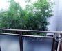 眺望　陽がよく入り、気持ちがいいですね。