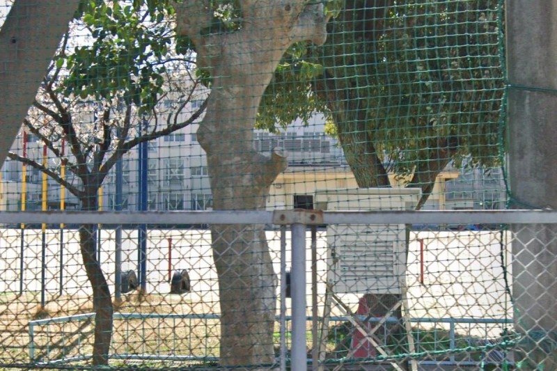 小学校　名古屋市立千年小学校（小学校）まで565m