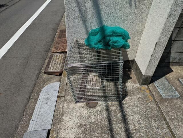 その他共有部分　庭