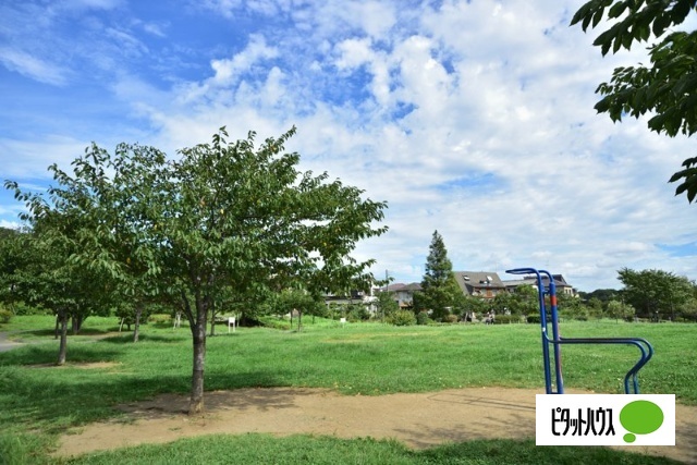 【Ｄｅｎｄｒｉｔｅの公園】