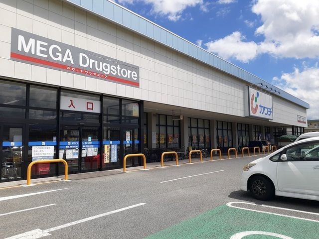 ドラックストア　カワチ薬品小瀬店（ドラッグストア）まで1500m