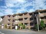 岩澤マンション 1階 築31年6ヶ月の賃貸物件
