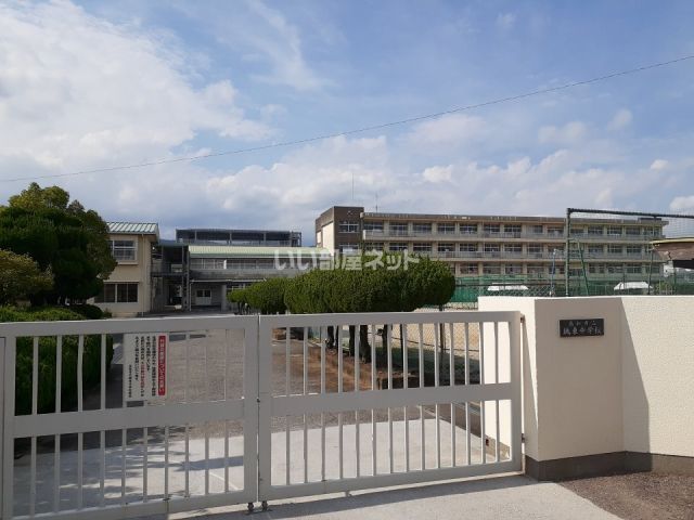 中学校　高知市立城東中学校（中学校）まで638m