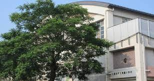 小学校　久留米市立南薫小学校（小学校）まで1125m