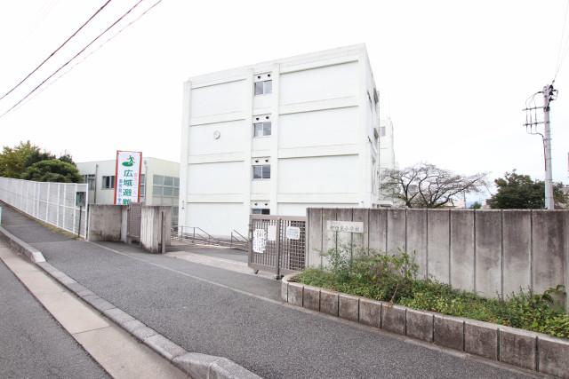 小学校　藤沢市立御所見小学校（小学校）まで210m