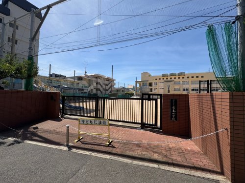 小学校　神戸市立宮本小学校（小学校）まで2031m