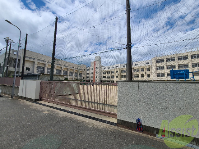 小学校　姫里小学校（小学校）まで219m