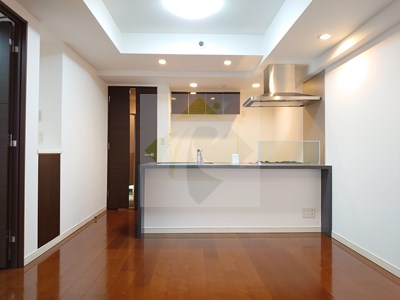 居室・リビング　プロスペクト・グラーサ広尾