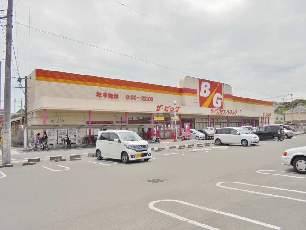 スーパー　ザ・ビッグ（スーパー）まで501m