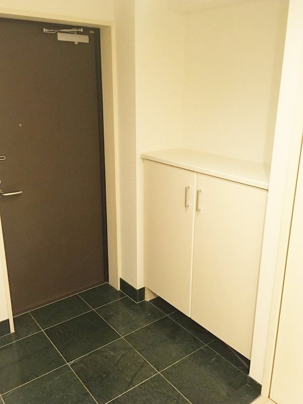 玄関　■モニタ付インターホン■ディンプルキー■2重鍵■ダウンライト