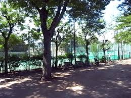 公園　代々木西原公園（公園）まで350m