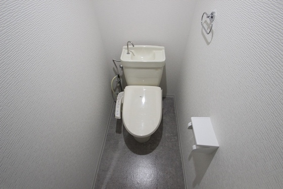 トイレ　※他号室の写真です