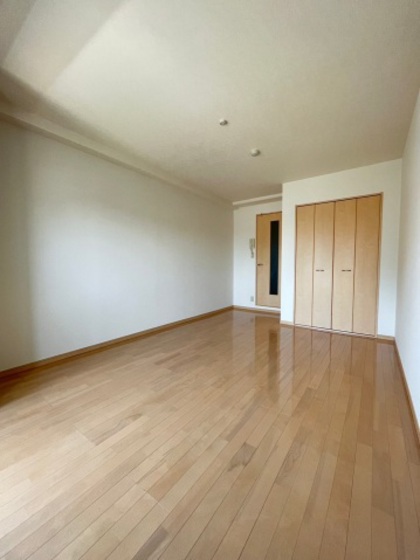 居室・リビング　※別号室の写真になります。