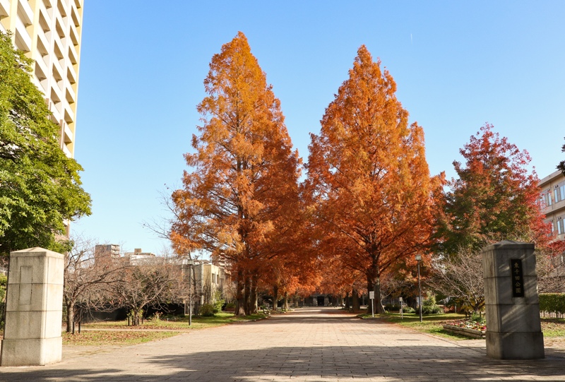 公園　千田公園（公園）まで723m