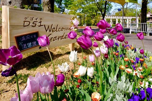 その他共有部分　園芸サークル「デゴイチキララクラブ」さんによりお手入れされた