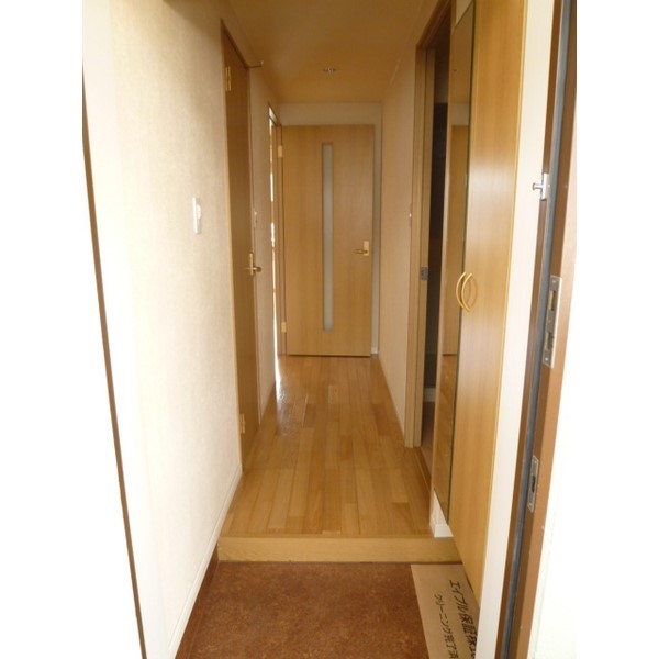 玄関　※他号室のお写真のため、現況優先です
