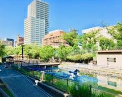 公園　木場親水公園（公園）まで390m