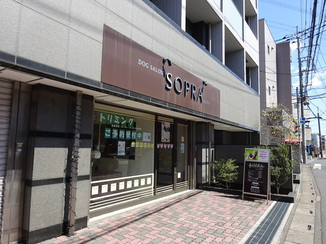 その他　ＤＯＧ　ＳＡＬＯＮ　ＳＯＰＲＡ（その他）まで478m