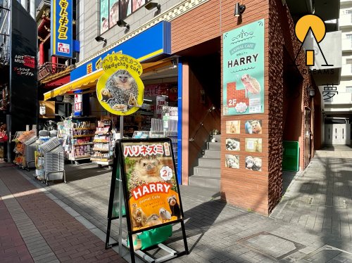 その他　ハリネス?ミカフェ HARRY YOKOHAMA（その他）まで197m