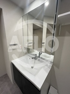 洗面設備　アーバネックス南新町　洗面所