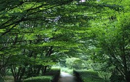 公園　北の丸公園（公園）まで1050m