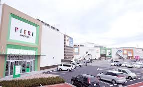 ホームセンター　ニトリピエリ守山店（ホームセンター）まで1665m