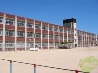 小学校　神戸市立下畑台小学校（小学校）まで346m