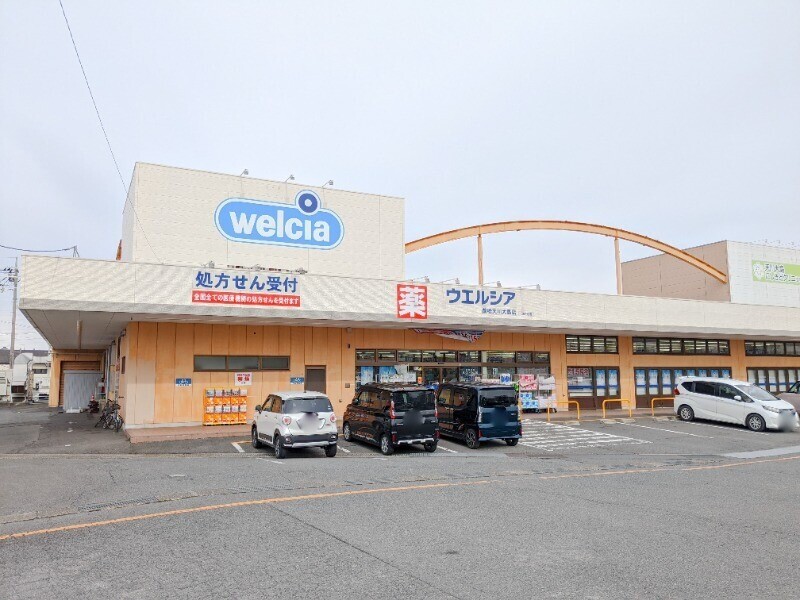 ドラックストア　ウエルシア前橋天川大島店（ドラッグストア）まで492m