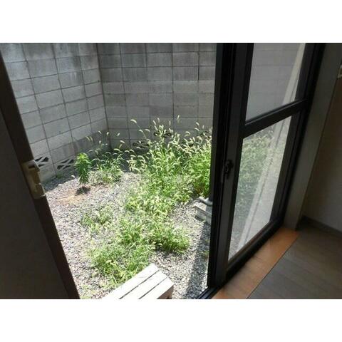 庭