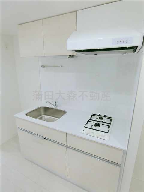 キッチン　調理スペースのある2口ガスシステムキッチン