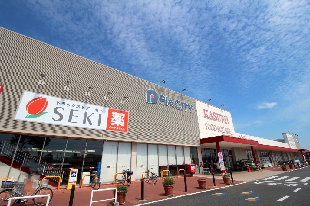 ショッピングセンター　ピアシティ宮代（ショッピングセンター）まで1100m