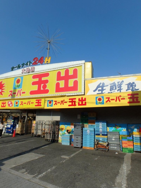 スーパー　スーパー玉出（スーパー）まで1100m