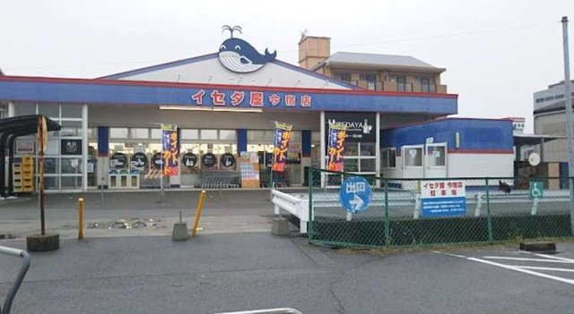 スーパー　イセダ屋今宿店（スーパー）まで505m
