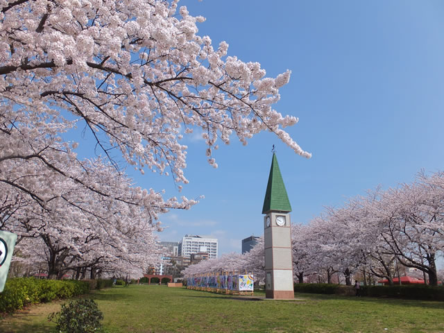 公園　猿江恩賜公園（公園）まで1243m