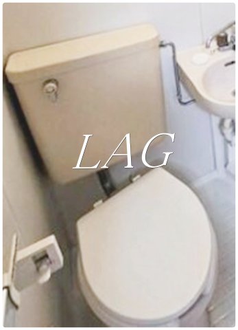 トイレ　トイレです。