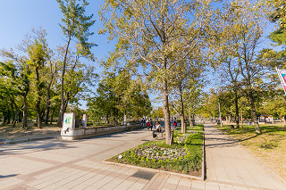 公園　久宝寺緑地（公園）まで3374m