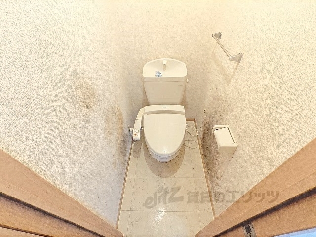 グリーンパーク尾浜のトイレ写真