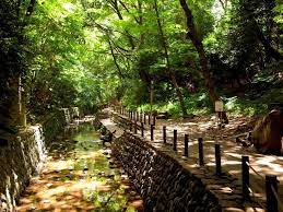 公園　等々力渓谷公園（公園）まで707m
