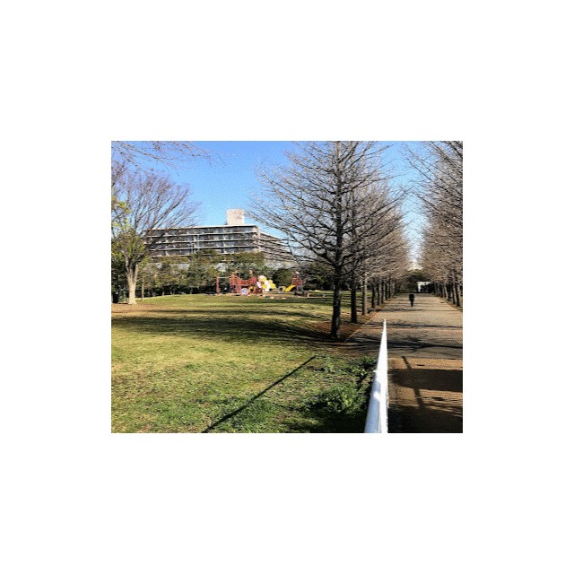 公園　御殿辺公園（公園）まで312m